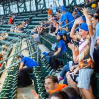 Image of people cheering in the stands of Comerica Park